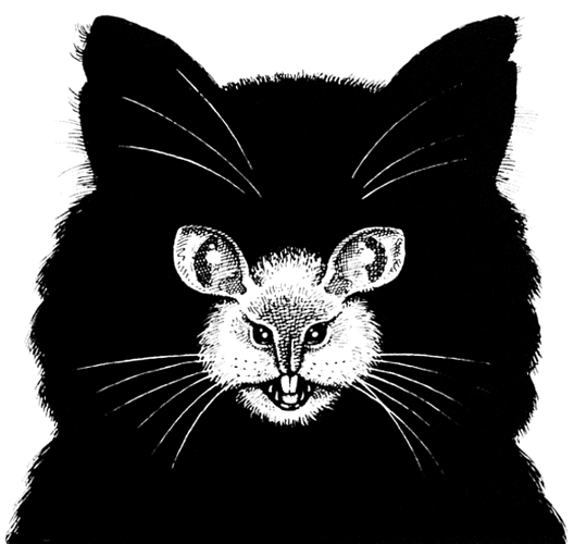 scary-cat-mouse.gif