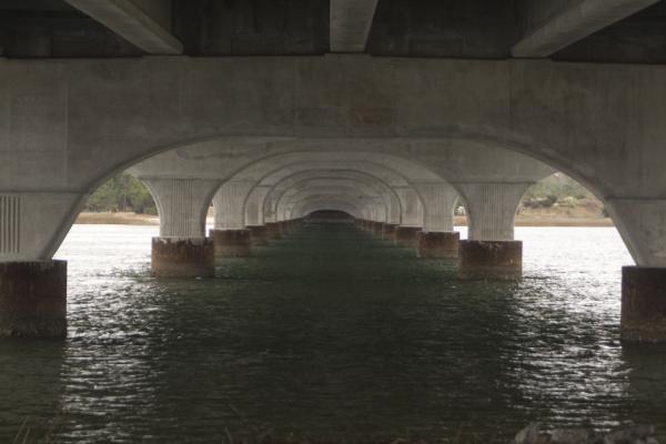 water-under-the-bridge-walt-reece.jpg