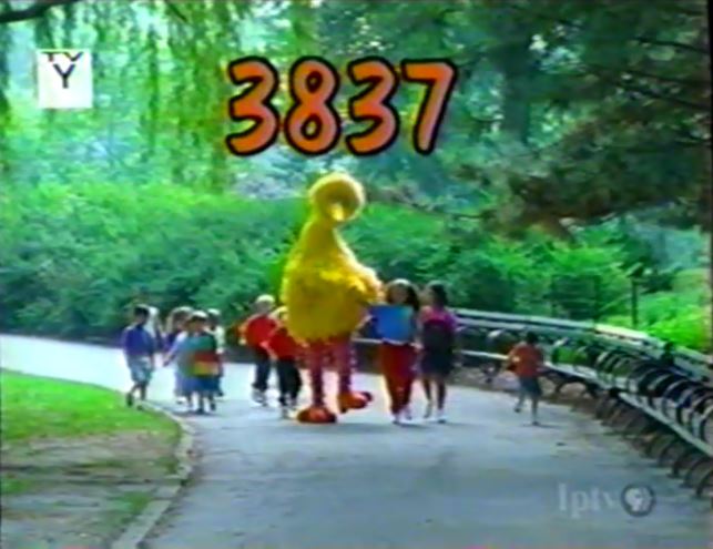 3837.jpg