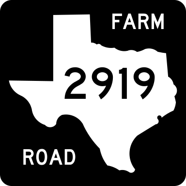 384px-Texas_FM_2919.svg.png