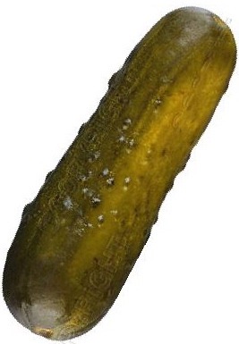 main.pickle.jpg