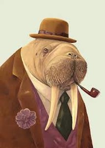 artworks-000046735926-d591is-crop.jpg?a2