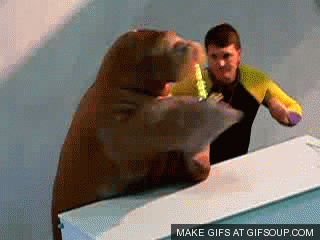 Walrus-o.gif